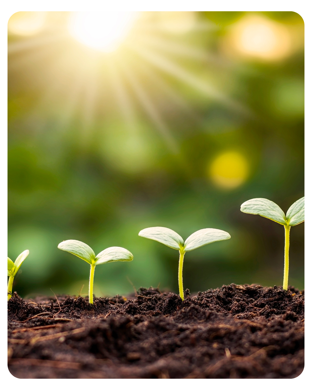 Mission & Vision image